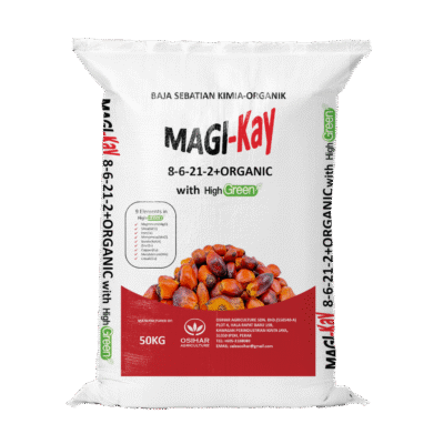 Baja Sawit Magi-Kay